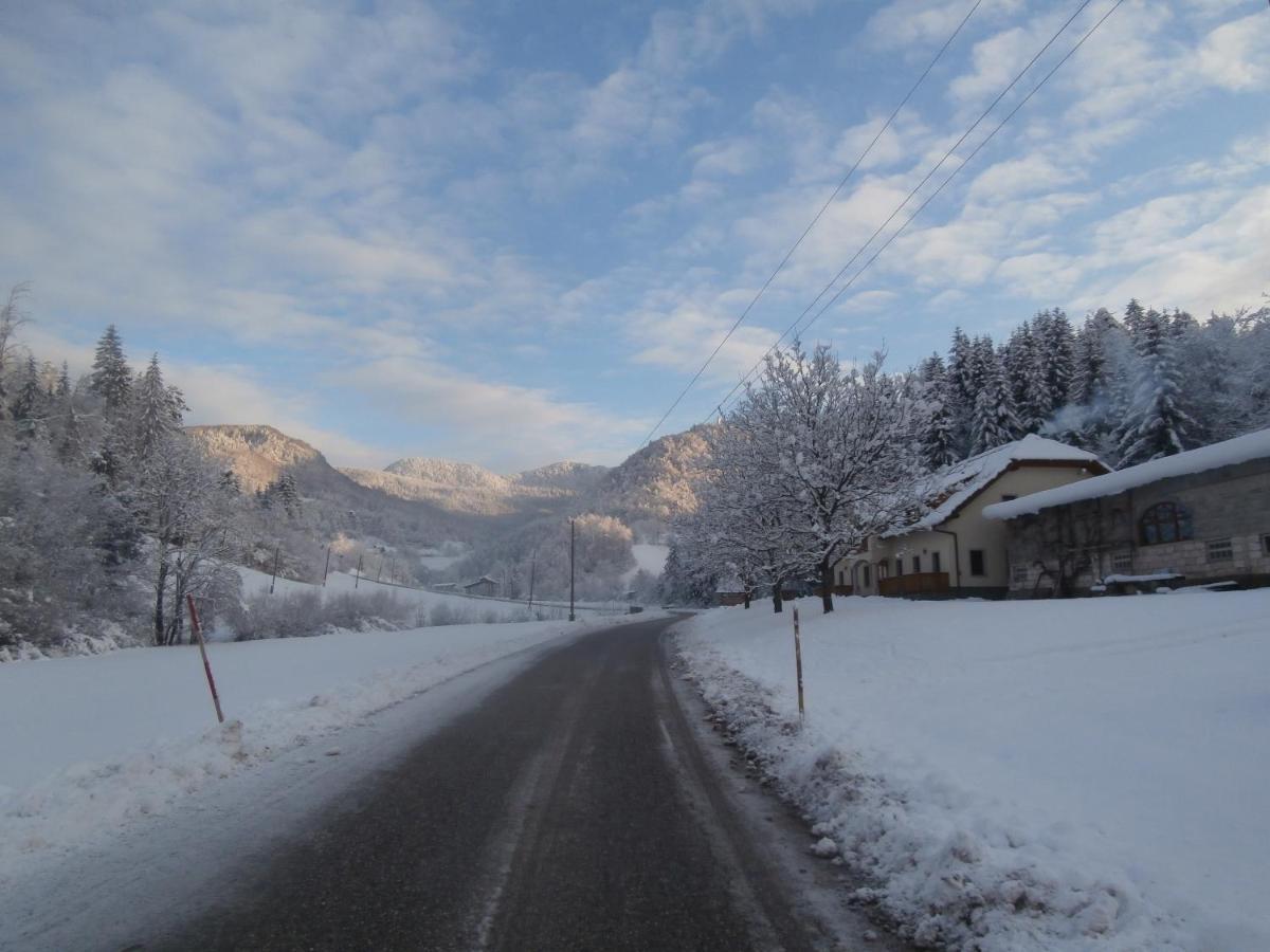 Simnovi Apartmaji - Surrounded By Nature カムニーク エクステリア 写真