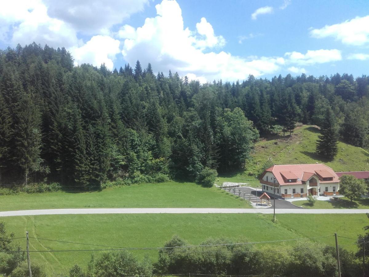 Simnovi Apartmaji - Surrounded By Nature カムニーク エクステリア 写真